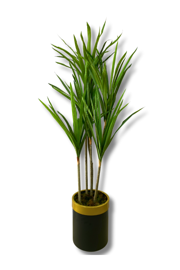 4 LÜ YUKA 150 CM YAPAY AĞAÇ 30X25 SAKSI  - Tek Ebat
